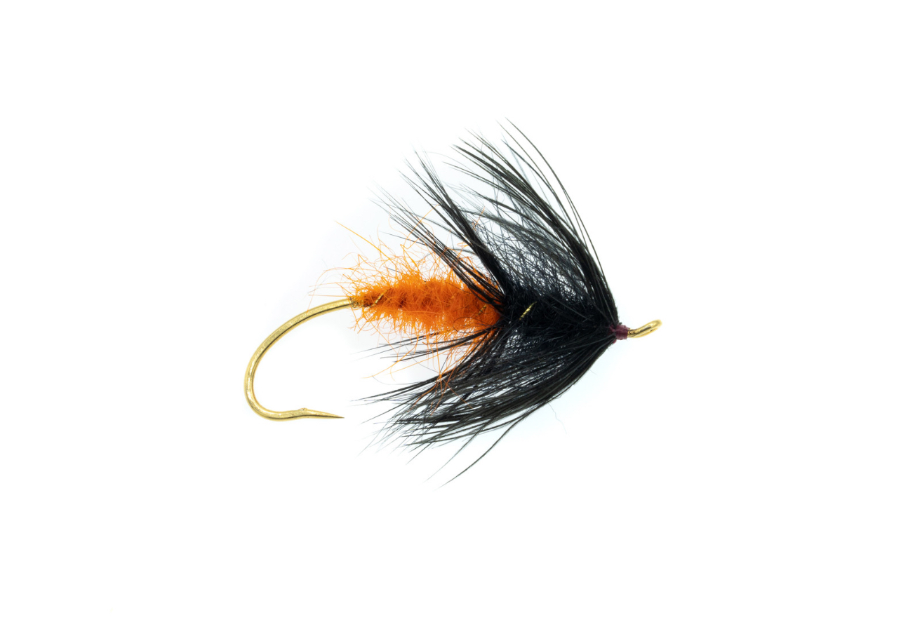 Black & Orange